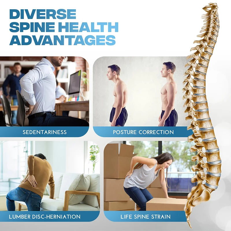 Appareil d’étirement et de massage lombaire – Ajustable et polyvalent